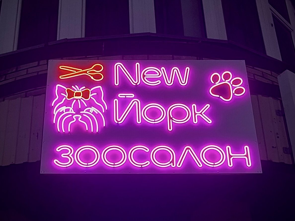 Неоновая вывеска зоосалона New Йорк на ул. 10 лет Октября, 43 в Омске
